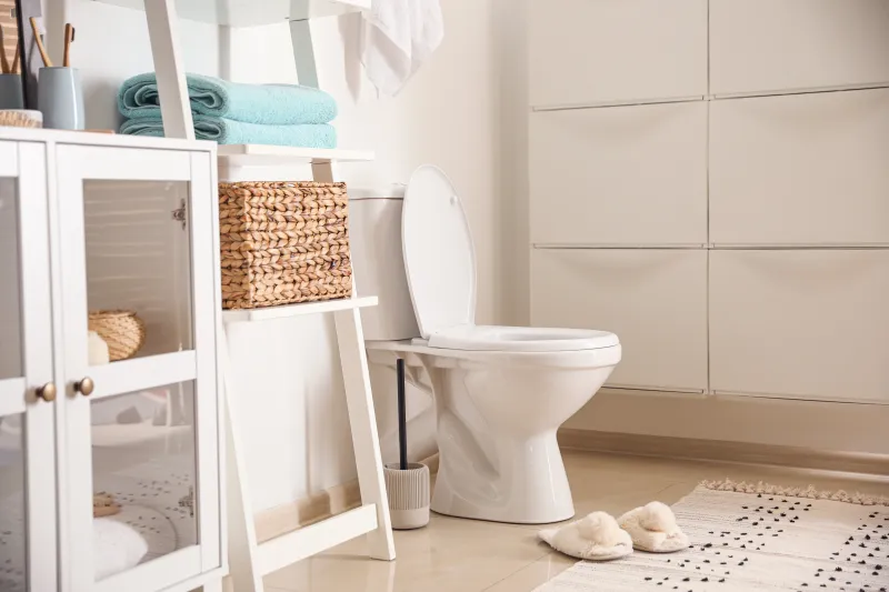 Clogged Toilets Service